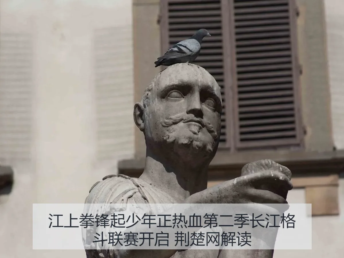 江上拳锋起少年正热血第二季长江格斗联赛开启 荆楚网解读